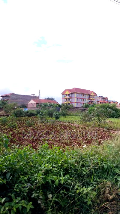 Thika Nanasi Estate 40x80 Plots. - Image 6