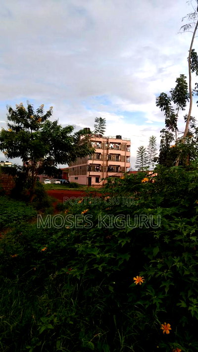 Thika Nanasi Estate 40x80 Plots. - Image 10