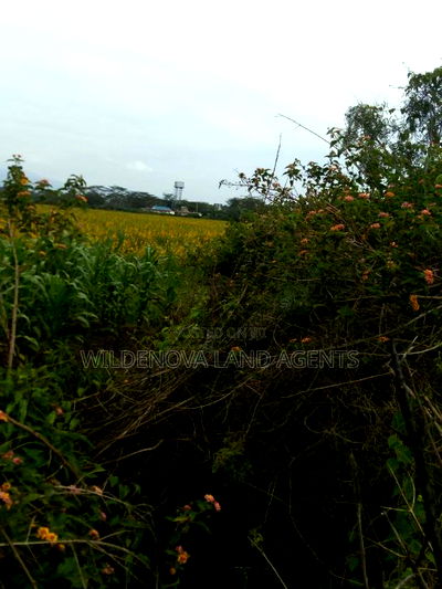 20 Acre of Land on Sale in Naivasha Town - Image 5