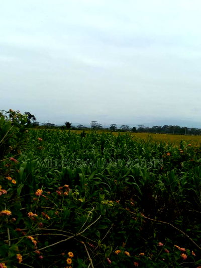 20 Acre of Land on Sale in Naivasha Town - Image 6