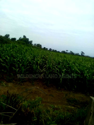 20 Acre of Land on Sale in Naivasha Town - Image 7