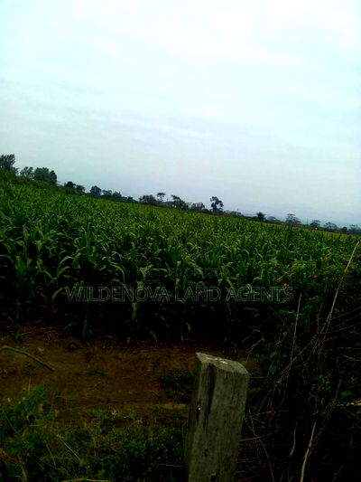 20 Acre of Land on Sale in Naivasha Town - Image 10