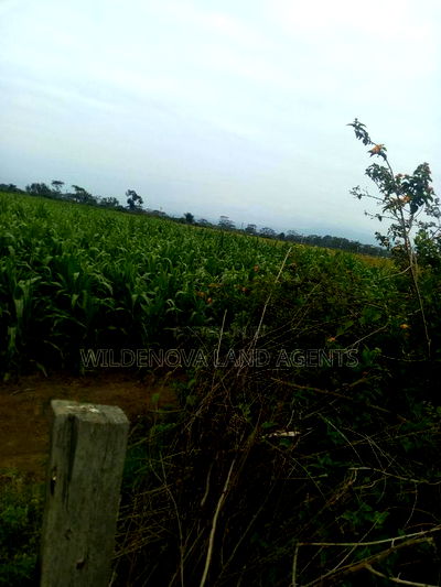 20 Acre of Land on Sale in Naivasha Town - Image 2