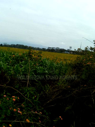 20 Acre of Land on Sale in Naivasha Town - Image 4