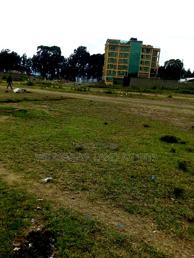 20 Acre of Land on Sale in Naivasha Town - Image 3