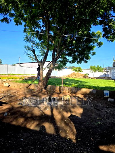 3/4 Acre Land for Sale Utange - Image 6