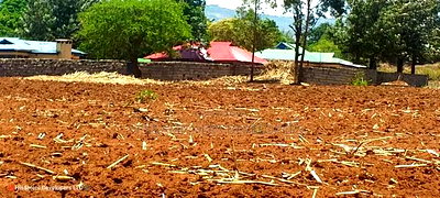 1.6 Acre in Ampiva at 4.2m Ready Title Deed. - Image 2