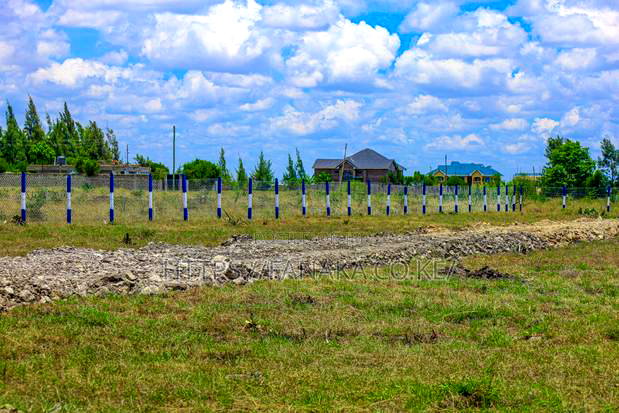 Affordable Plots in Katani