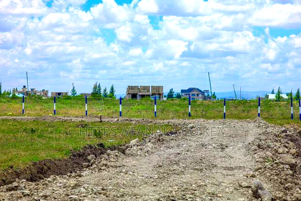 Affordable Plots in Katani
