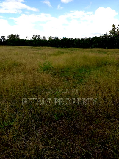 5 Acres for Sale in Birika Pipe Line Road - Image 4