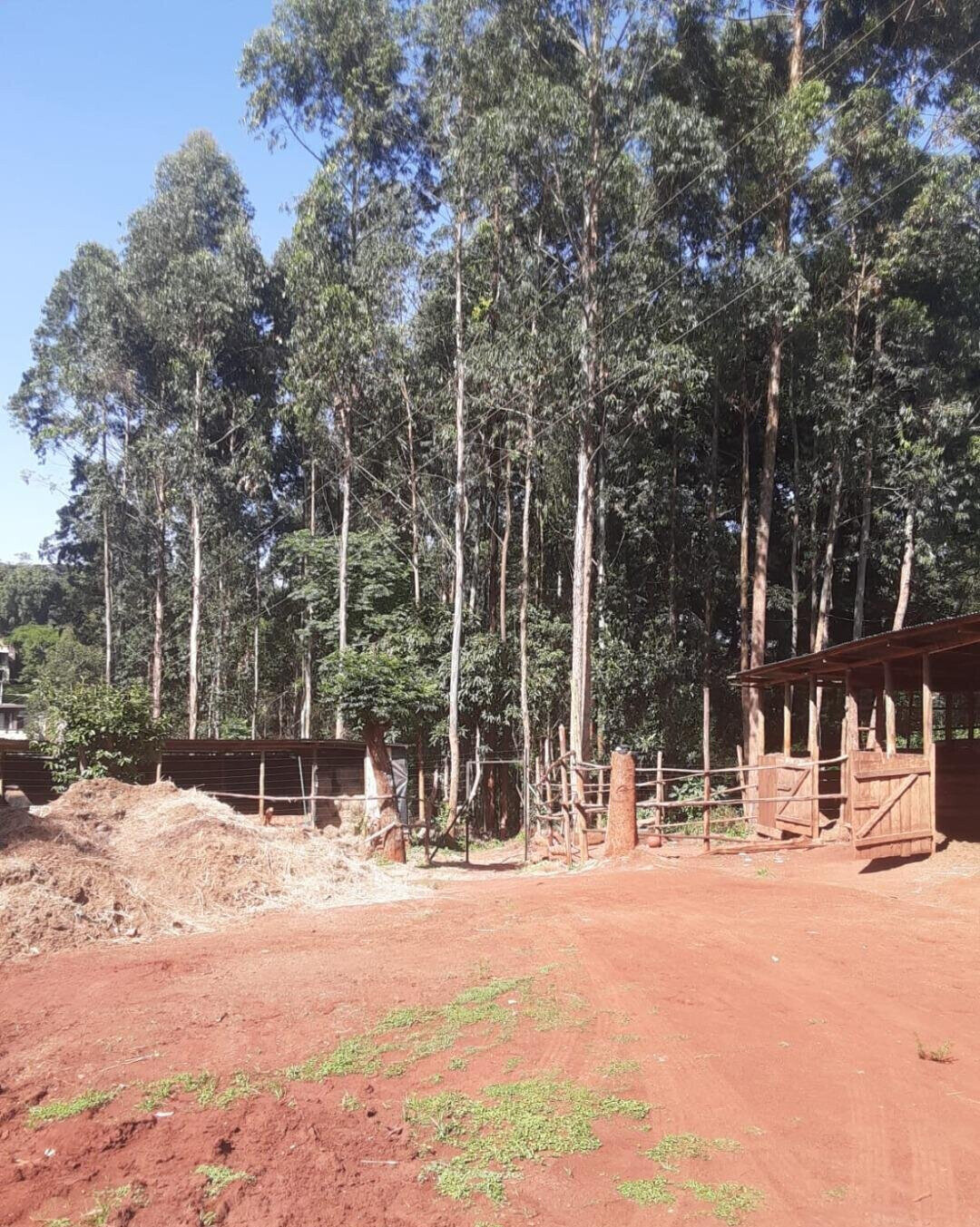 1/2 Acre Garden Plot in Kitisuru