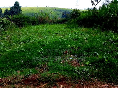 40 X 100 Kawainda Estate, Kiambu - Image 6