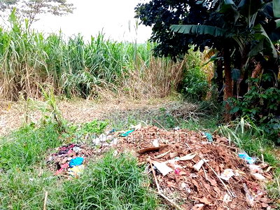 40 X 100 Kawainda Estate, Kiambu - Image 8