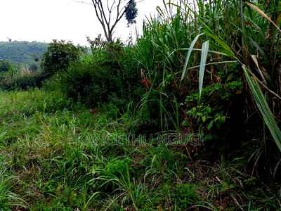 40 X 100 Kawainda Estate, Kiambu - Image 7