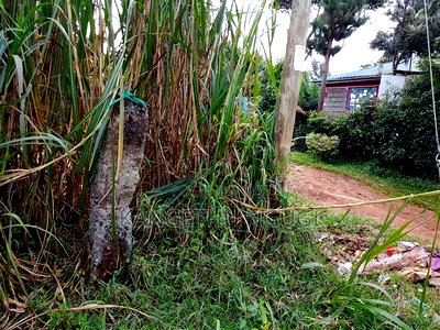 40 X 100 Kawainda Estate, Kiambu - Image 1