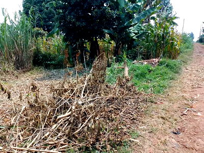 40 X 100 Kawainda Estate, Kiambu - Image 2