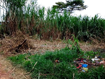 40 X 100 Kawainda Estate, Kiambu - Image 5