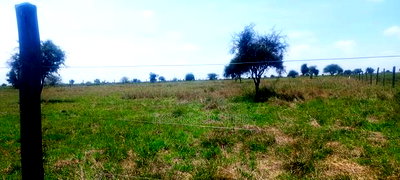 Vacant 1/8 Acre Plots For Sale In Isinya - Image 3