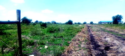 Vacant 1/8 Acre Plots For Sale In Isinya - Image 1