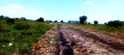 Vacant 1/8 Acre Plots For Sale In Isinya - Image 2