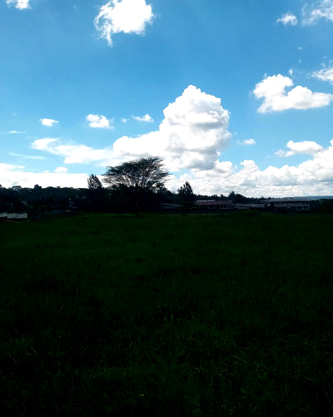 KSh 7M Garden Plot in Ngong