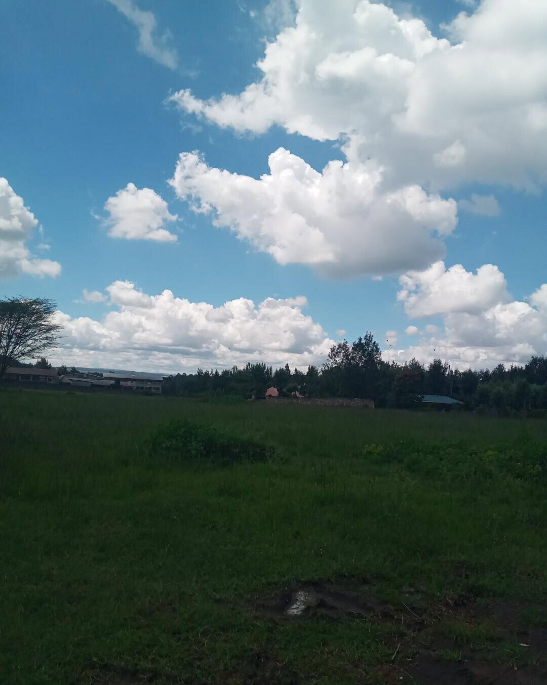 KSh 7M Garden Plot in Ngong