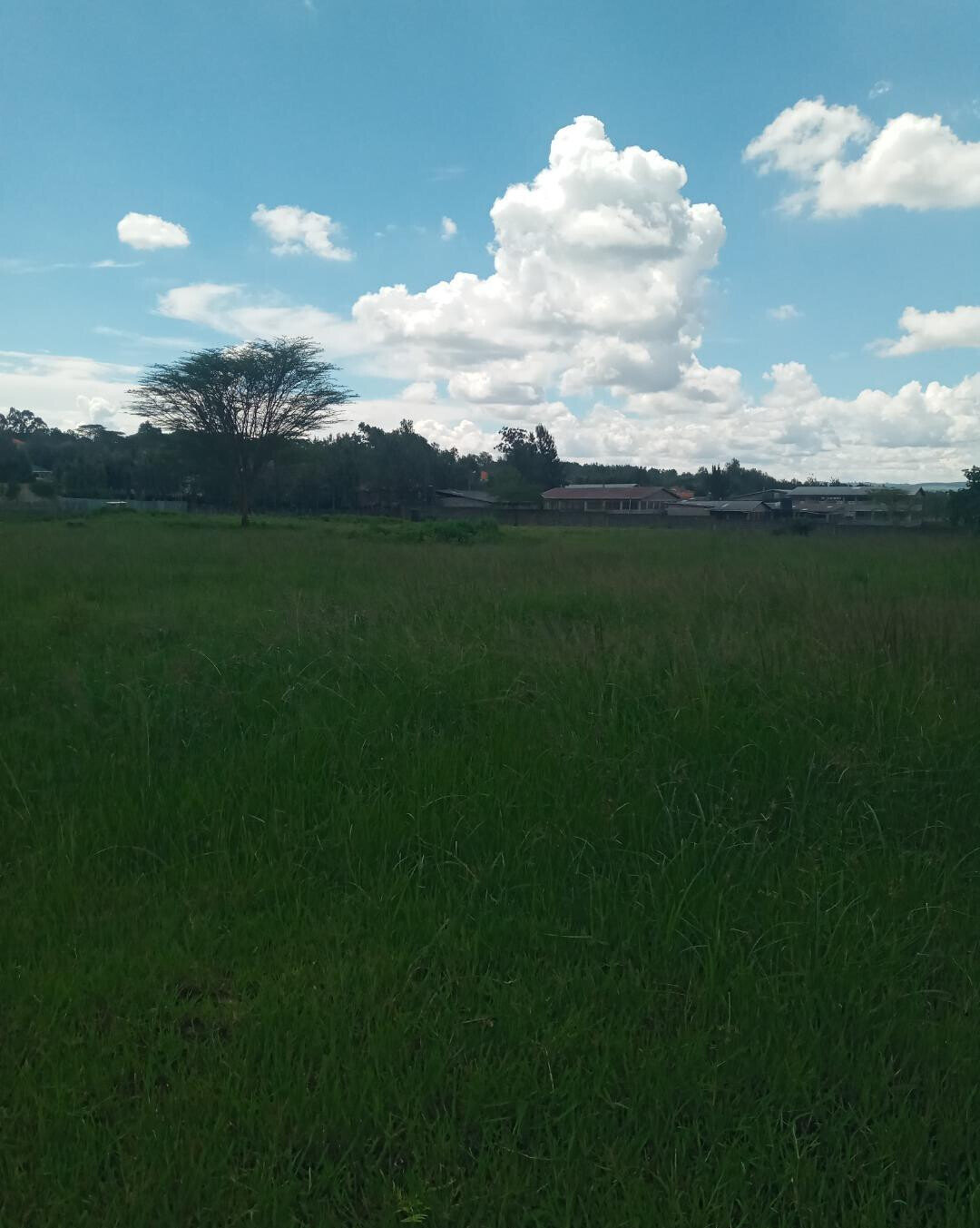 KSh 7M Garden Plot in Ngong
