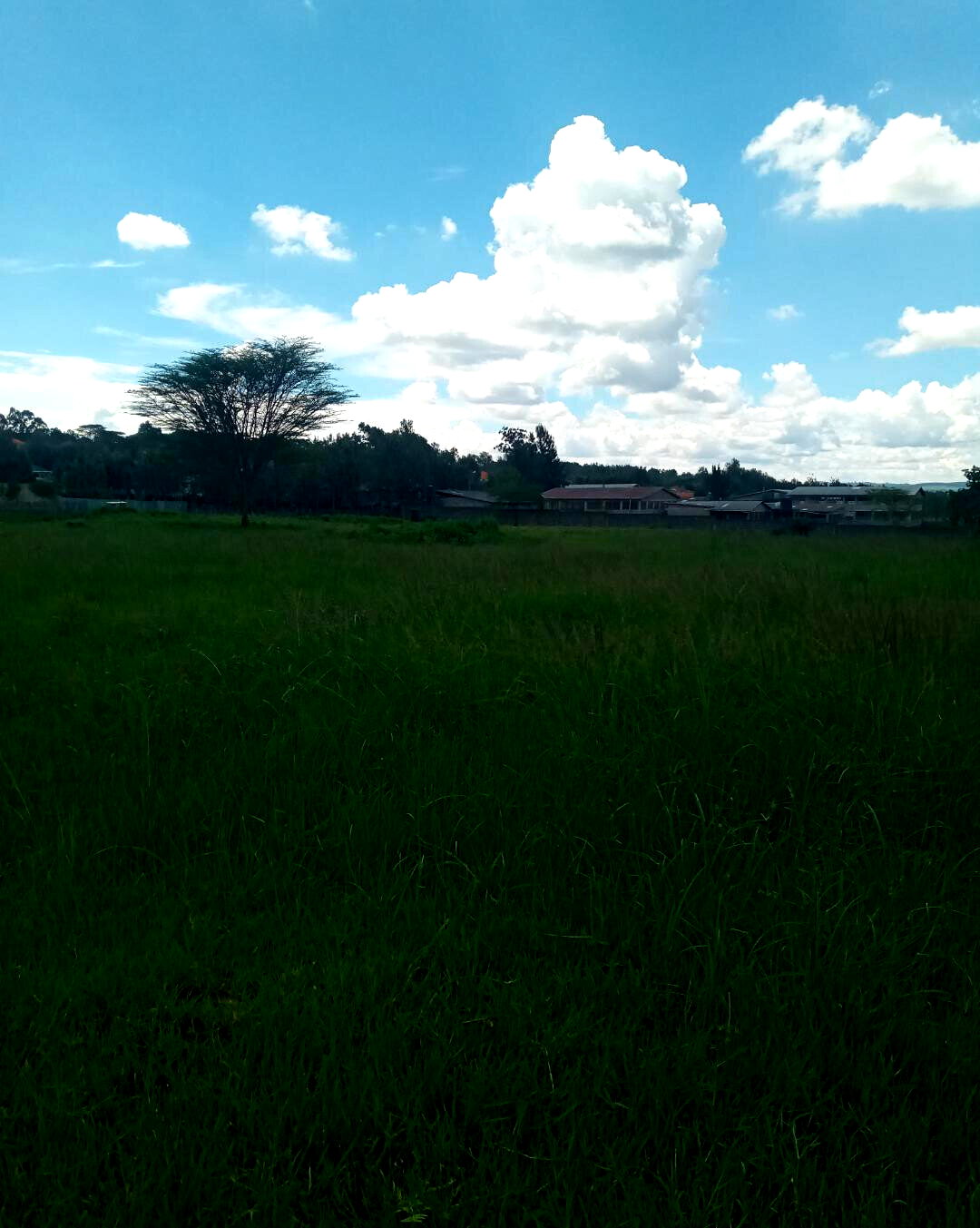 KSh 7M Garden Plot in Ngong