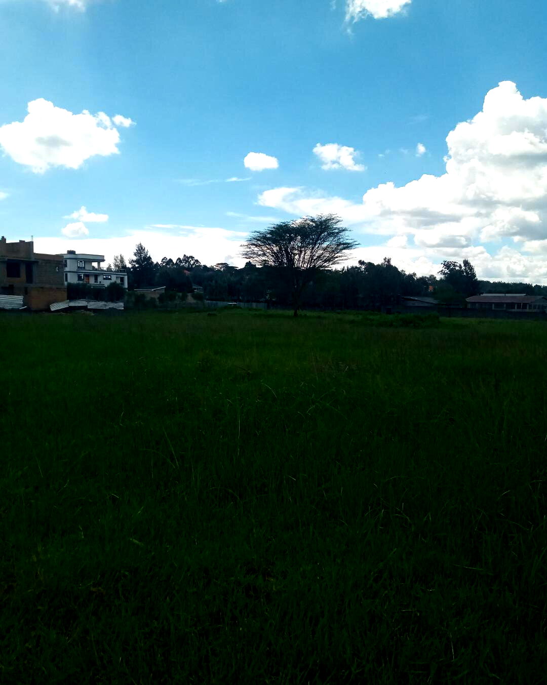 KSh 7M Garden Plot in Ngong