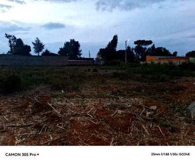 1/4 Plot Kimumu/Betterfarm With Title. - Image 3