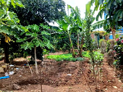 Plot for Sale - Image 2