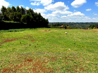 Prime Residential Land for Sale in Kikuyu-Ondiri - Image 9