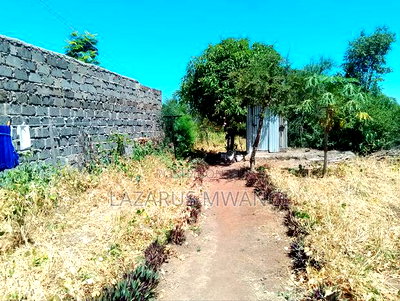 Half Acre Within Mathingira Township Sagana Makutano - Image 6