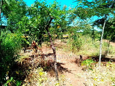 Half Acre Within Mathingira Township Sagana Makutano - Image 14