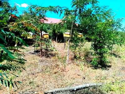 Half Acre Within Mathingira Township Sagana Makutano - Image 11