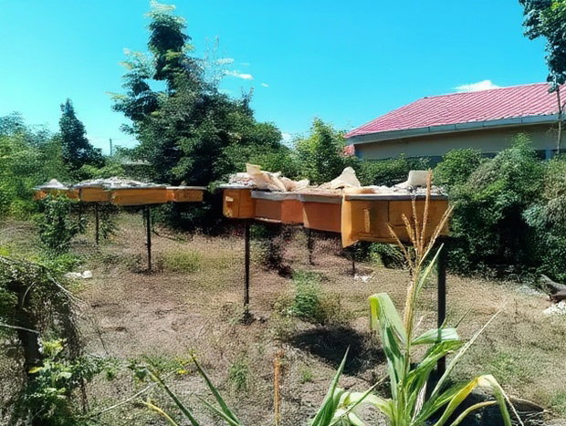 Half Acre Within Mathingira Township Sagana Makutano