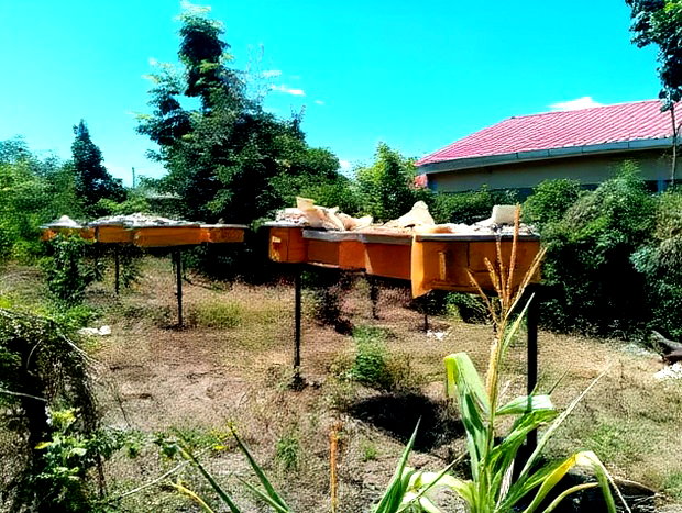 Half Acre Within Mathingira Township Sagana Makutano