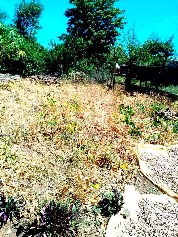 Half Acre Within Mathingira Township Sagana Makutano