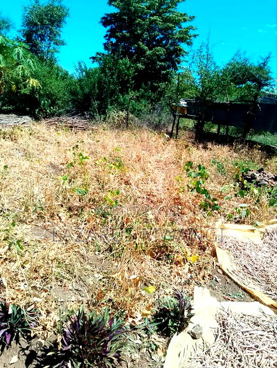 Half Acre Within Mathingira Township Sagana Makutano - Image 5