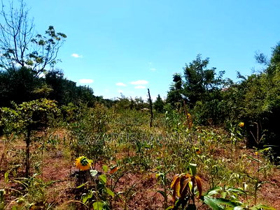 Half Acre Within Mathingira Township Sagana Makutano - Image 10