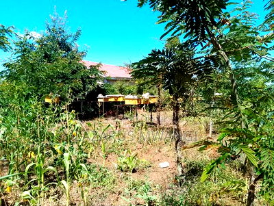 Half Acre Within Mathingira Township Sagana Makutano - Image 12