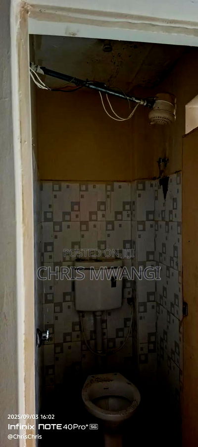 Furnished 1bdrm Block of Flats in Kibute Estate, Thika for sale - Image 18