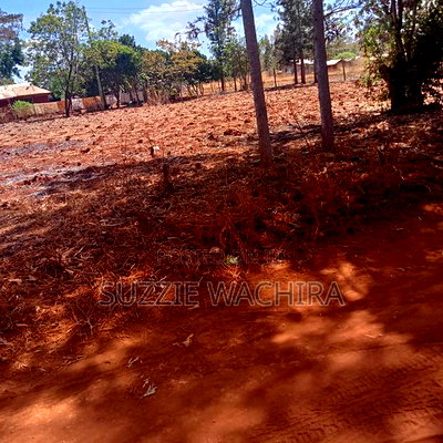 Residential Plots For Sale At Makutano In Kirinyaga - Image 2