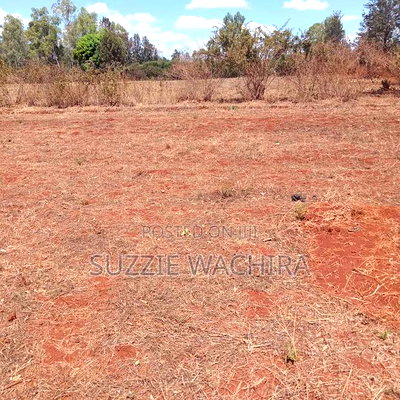 Residential Plots For Sale At Makutano In Kirinyaga - Image 3