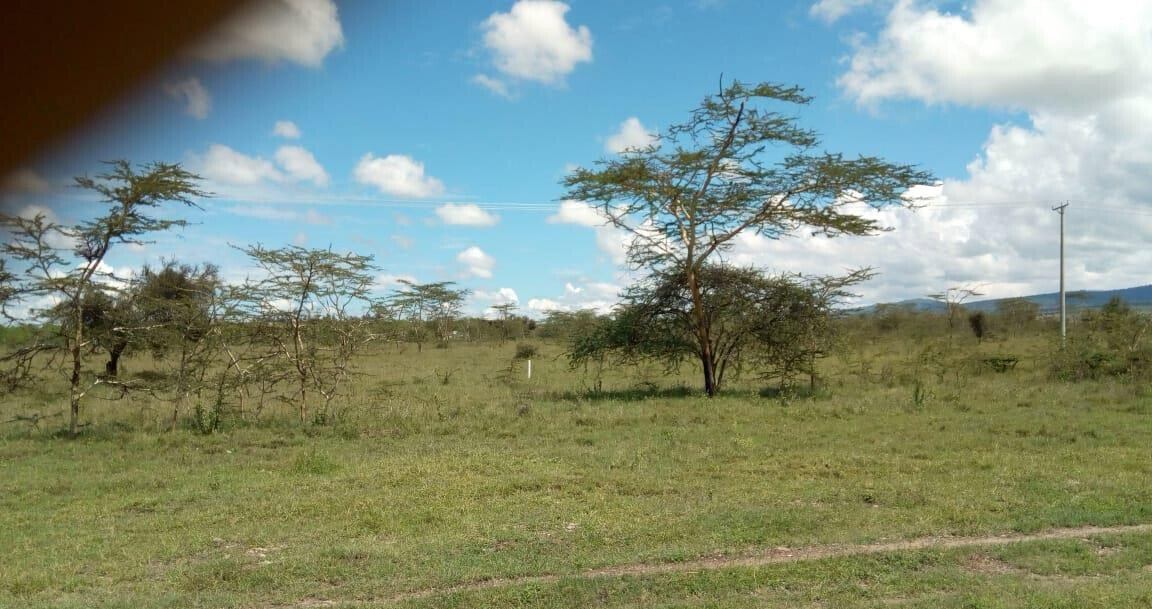 5-Acre Industrial Land for Sale