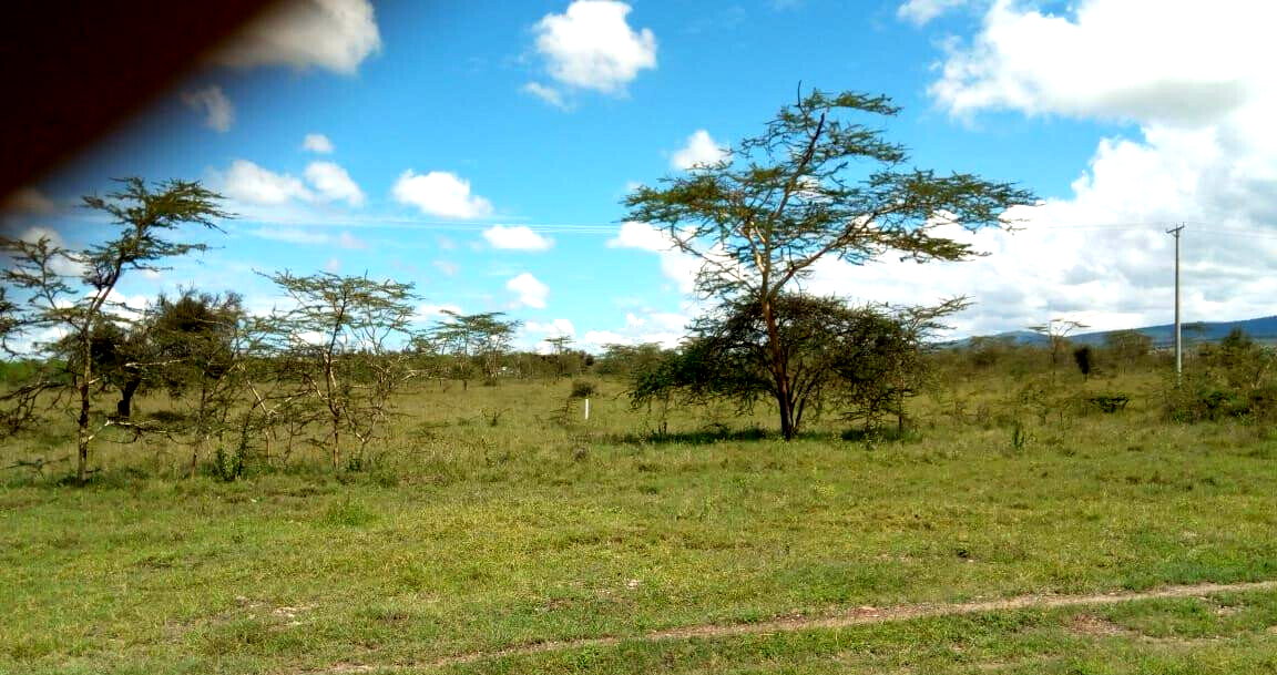 5-Acre Industrial Land for Sale