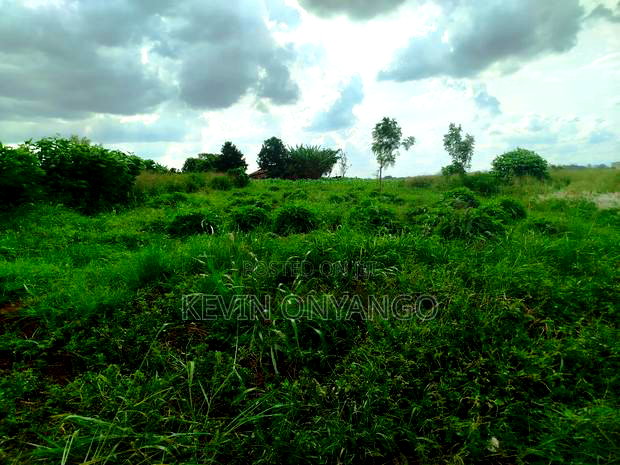 1/8 Acre Plots for Sale in Ruiru, Mugutha