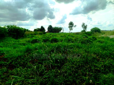 1/8 Acre Plots for Sale in Ruiru, Mugutha - Image 5