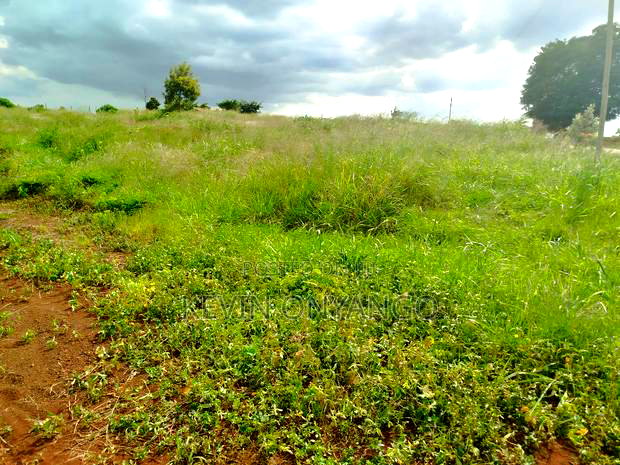 1/8 Acre Plots for Sale in Ruiru, Mugutha