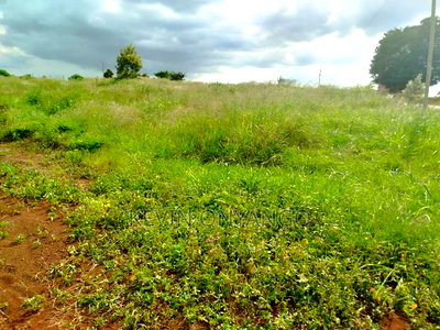 1/8 Acre Plots for Sale in Ruiru, Mugutha - Image 1
